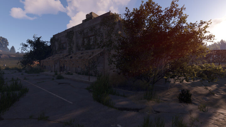 Rust Sandalwood All Products