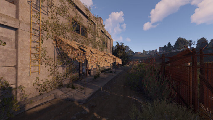 Rust Sandalwood All Products