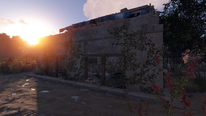 Rust Sandalwood All Products