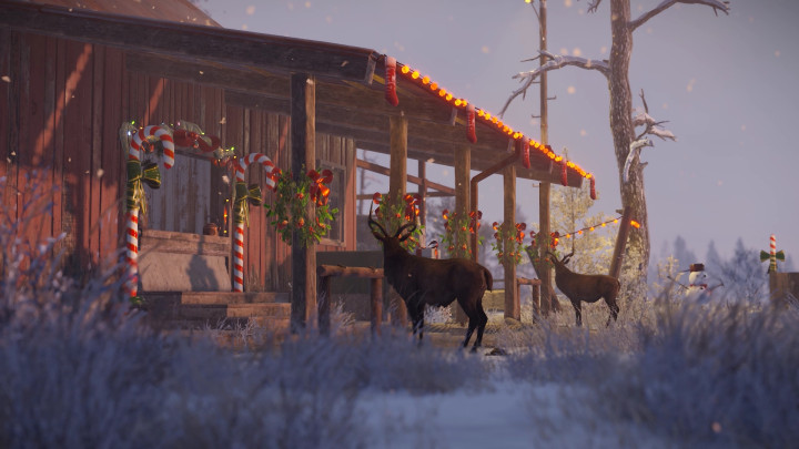 Rust Lapland: Reborn All Products