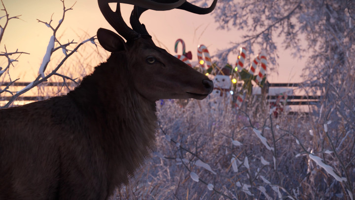 Rust Lapland: Reborn All Products