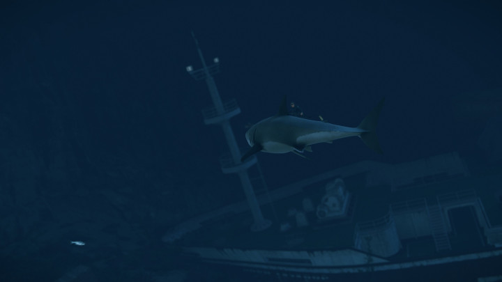 Rust Sunkenland All Products