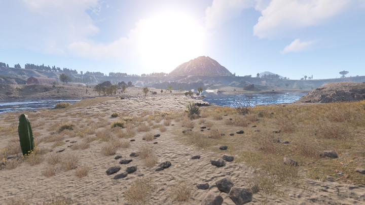 Rust Enigma Island All Products