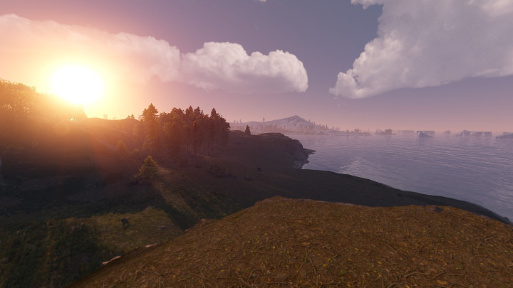 Rust Enigma Island All Products