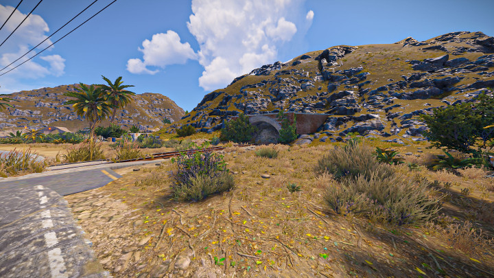 Rust Gravis Island All Products