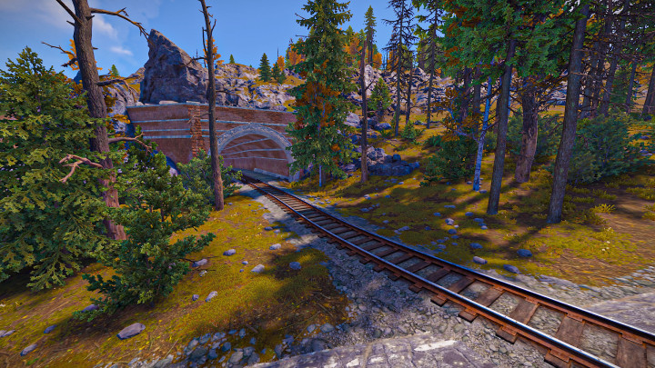 Rust Gravis Island All Products