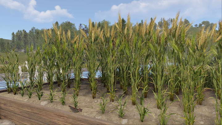 Rust Medieval Grain Mill All Products