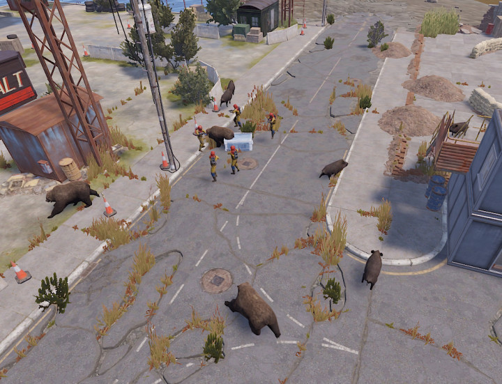 Rust Treasure Maps All Products