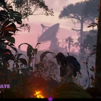 cacatua_jungle_update