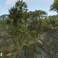 kingstownjungle2
