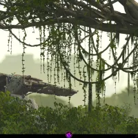 resistance_islands_jungle_update_no_text