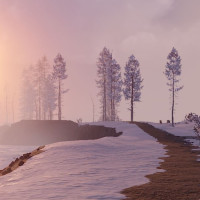 040