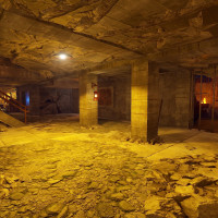 252490_7854