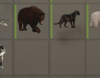 animals