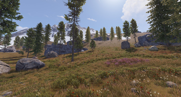 Rust True Hapis 2021 All Products