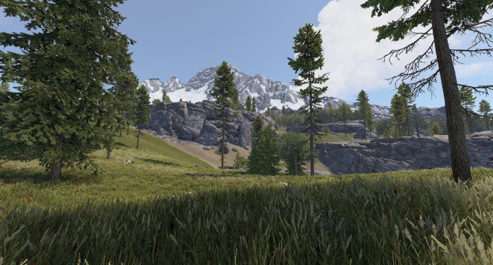 Rust True Hapis 2021 All Products