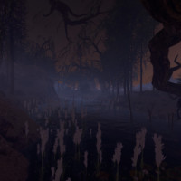 Nocturne Bay 100 20251022123320_1