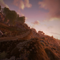 46