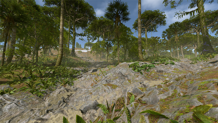 Rift Volcano 24 Rust Rift Volcano All Products