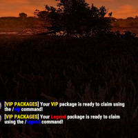 vip1
