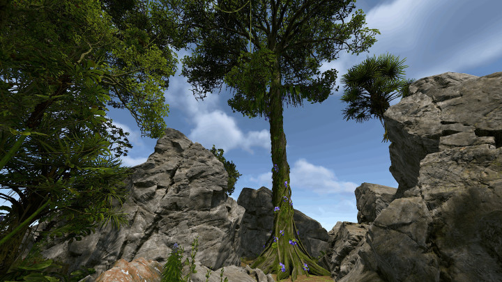 Rust Sea Islands ⚓ All Products