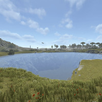 Screenshot 2026-02-01 173516