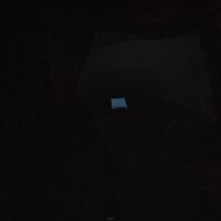 20261001235329_1