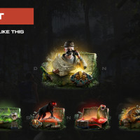 Jungle Cases / PS 5 102
